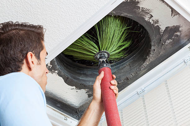 Best Air Duct Sanitizing Services  in Blacklick Estates, OH