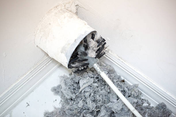 Best Emergency Air Duct Cleaning  in Blacklick Estates, OH